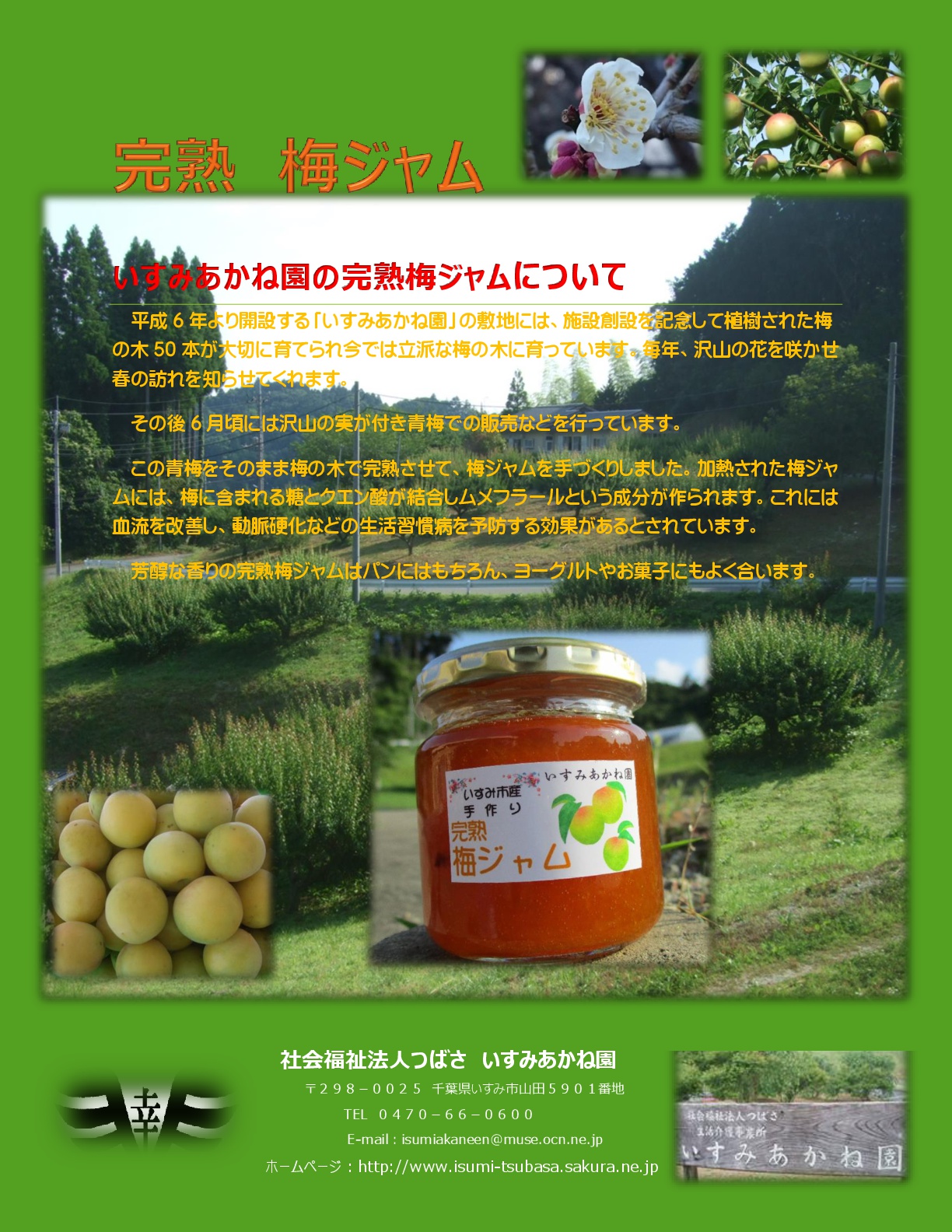 ジャム【完熟梅・ゴールドキウイ他】　※梅ジャムは毎年梅の収穫後（5月下旬頃）から作りはじめます。キウイは11月頃からの販売となります。