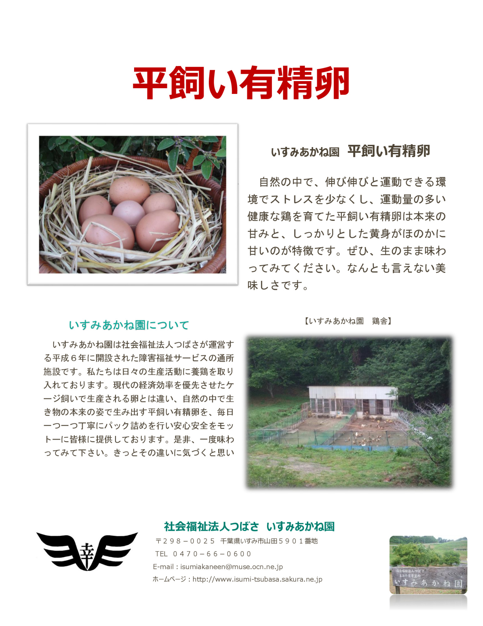 平飼い有精卵【6個入り＆10個入り】※毎日産みたての卵を朝取りし、パック詰めしていますが、数に限りがあります。